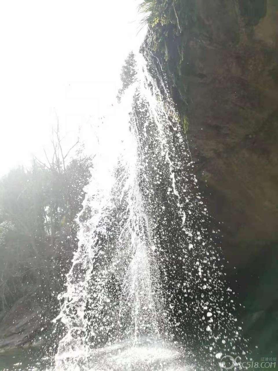 月光影视